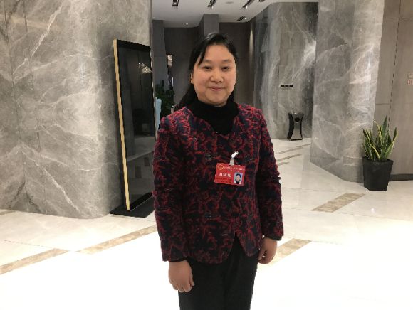 省人大代表、淮安市实验小学幼儿园院长倪春玲 省人大代表、淮安市实验小学幼儿园院长倪春玲